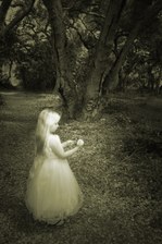 Enlarge photo 27