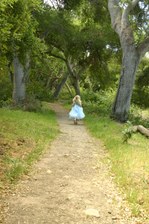 Enlarge photo 33