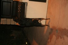 Enlarge photo 2