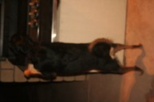 Enlarge photo 3