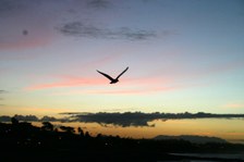 New Year's Sunrise - 2005