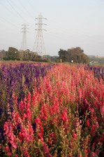 Enlarge photo 32