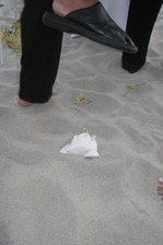 Enlarge photo 49
