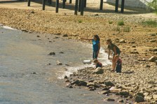 Enlarge photo 96
