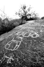 Enlarge photo 159