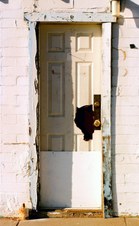 Enlarge photo 84