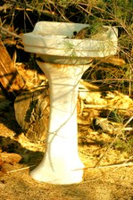 Enlarge photo 86