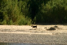 Enlarge photo 98