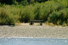 Enlarge photo 99