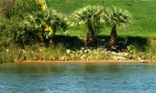 Enlarge photo 100