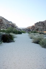Enlarge photo 145
