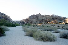 Enlarge photo 147