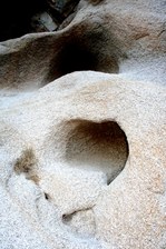 Enlarge photo 169