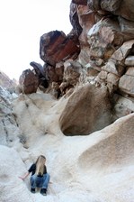 Enlarge photo 170