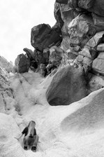 Enlarge photo 171