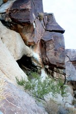 Enlarge photo 174