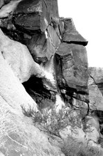 Enlarge photo 175