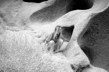 Enlarge photo 177