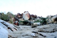 Enlarge photo 182