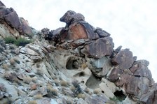 Enlarge photo 185