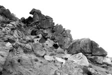 Enlarge photo 194