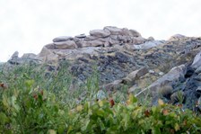 Enlarge photo 199