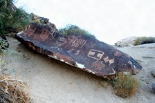 Enlarge photo 202