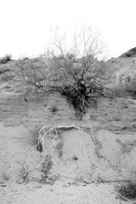 Enlarge photo 203