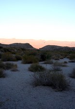 Enlarge photo 206