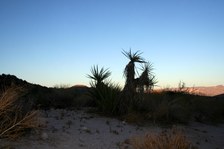 Enlarge photo 207
