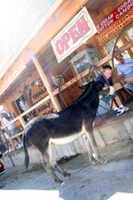 Enlarge photo 248