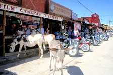 Enlarge photo 253