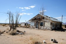 Enlarge photo 272