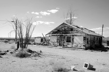 Enlarge photo 273