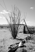 Enlarge photo 275