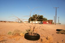 Enlarge photo 374