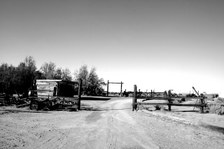 Enlarge photo 381