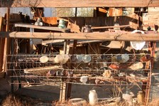 Enlarge photo 392