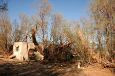 Enlarge photo 397
