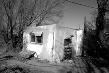 Enlarge photo 399