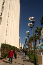 Enlarge photo 440
