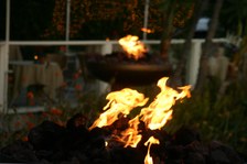 Enlarge photo 174