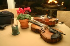 Enlarge photo 246