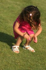 Enlarge photo 103