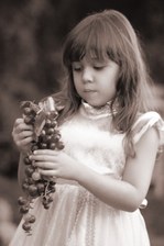 Enlarge photo 49