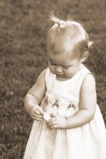 Enlarge photo 35