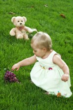 Enlarge photo 53