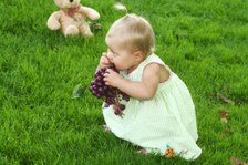 Enlarge photo 54