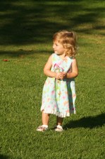 Enlarge photo 58