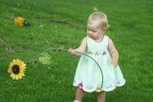 Enlarge photo 59